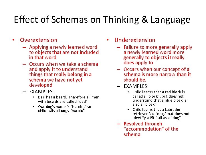 Effect of Schemas on Thinking & Language • Overextension – Applying a newly learned