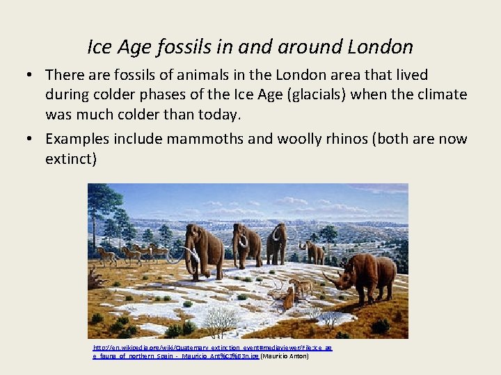 Ice Age fossils in and around London • There are fossils of animals in