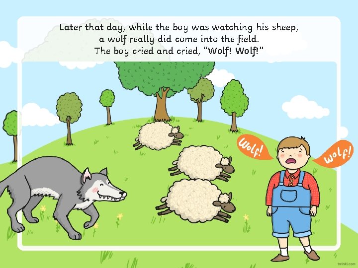 Later that day, while the boy was watching his sheep, a wolf really did