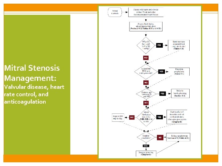Mitral Stenosis Management: Valvular disease, heart rate control, and anticoagulation 