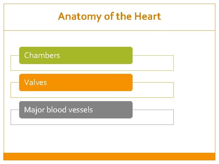 Anatomy of the Heart Chambers Valves Major blood vessels 
