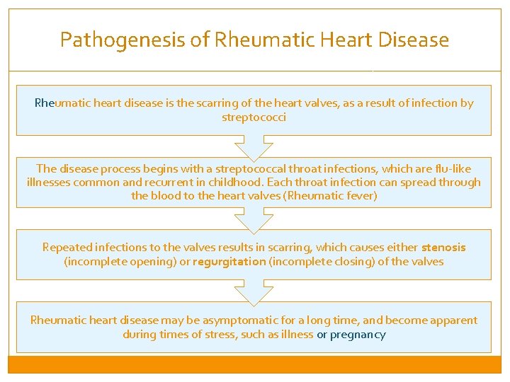 Pathogenesis of Rheumatic Heart Disease Rheumatic heart disease is the scarring of the heart