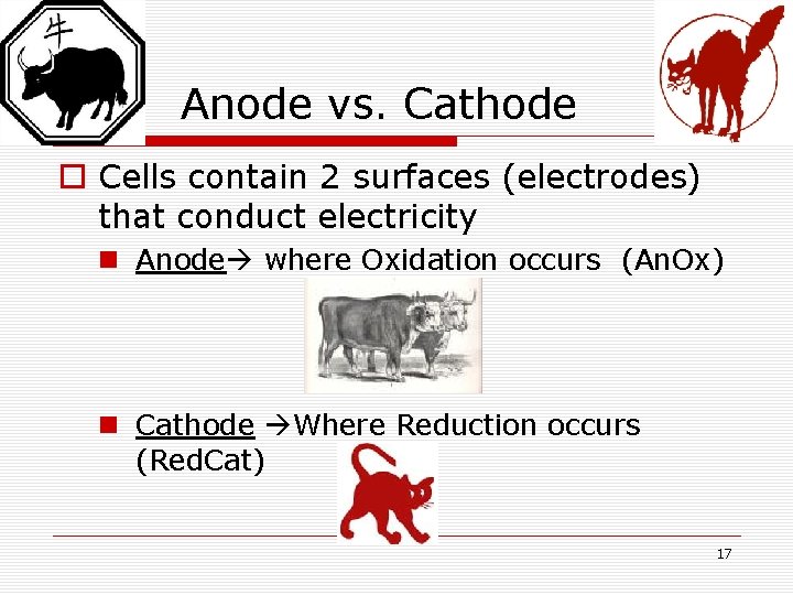 Anode vs. Cathode o Cells contain 2 surfaces (electrodes) that conduct electricity n Anode