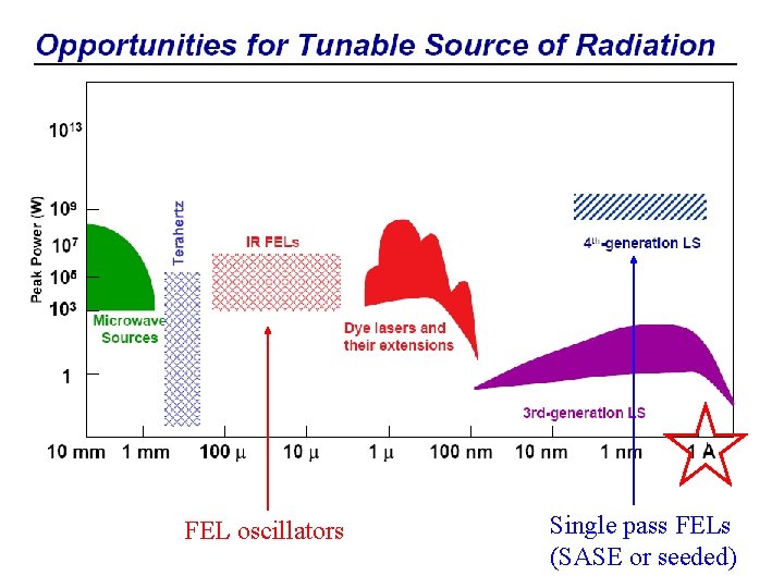 FEL oscillators Single pass FELs (SASE or seeded) 