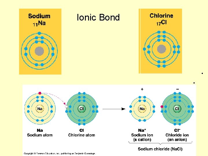 Ionic Bond 