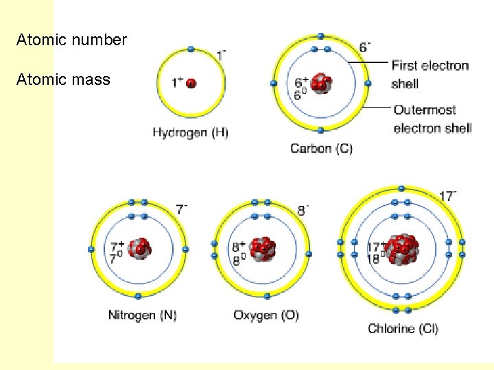 Atomic number Atomic mass 