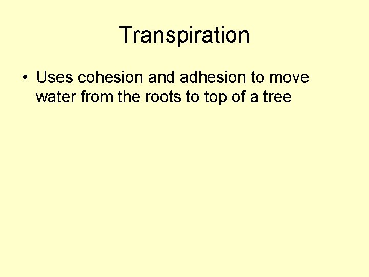 Transpiration • Uses cohesion and adhesion to move water from the roots to top