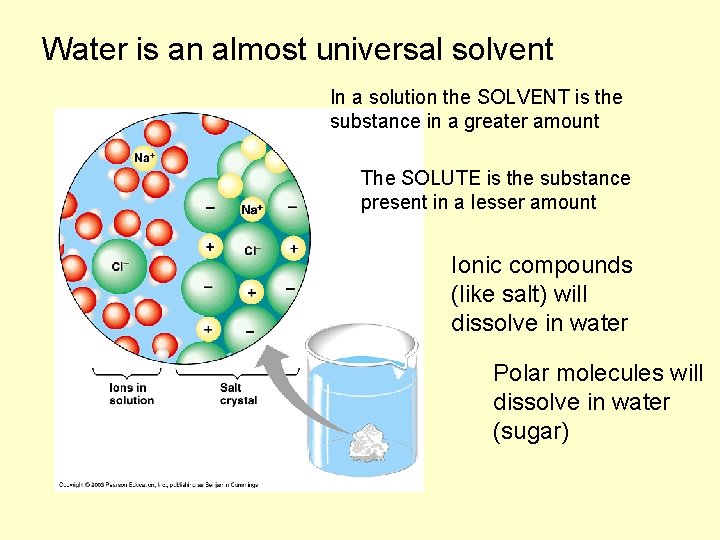 Water is an almost universal solvent In a solution the SOLVENT is the substance