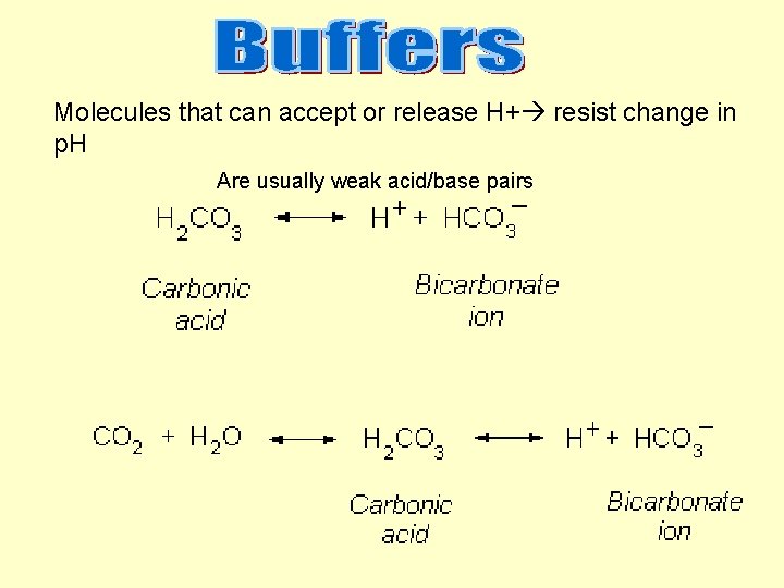Molecules that can accept or release H+ resist change in p. H Are usually