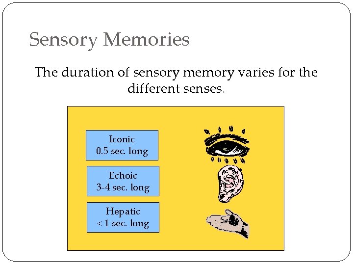 Sensory Memories The duration of sensory memory varies for the different senses. Iconic 0.