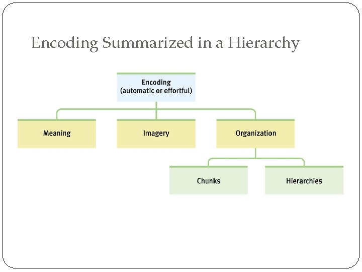 Encoding Summarized in a Hierarchy 