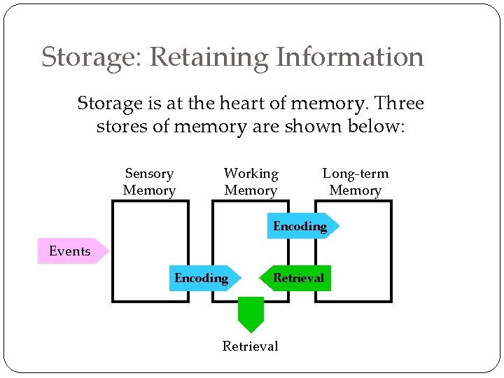 Storage: Retaining Information Storage is at the heart of memory. Three stores of memory