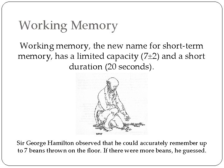 Working Memory Working memory, the new name for short-term memory, has a limited capacity