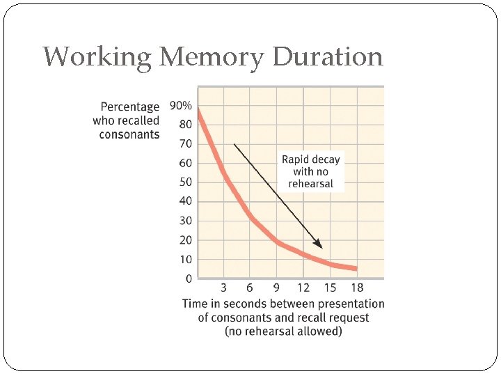 Working Memory Duration 