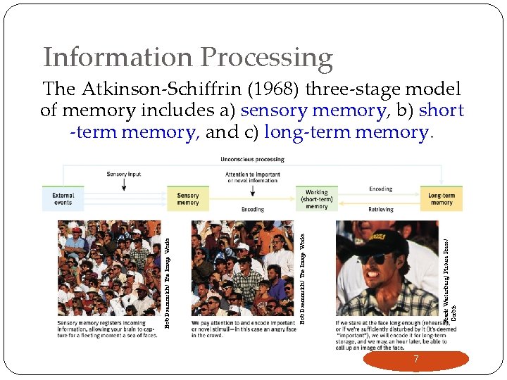 Information Processing Frank Wartenberg/ Picture Press/ Corbis Bob Daemmrich/ The Image Works The Atkinson-Schiffrin