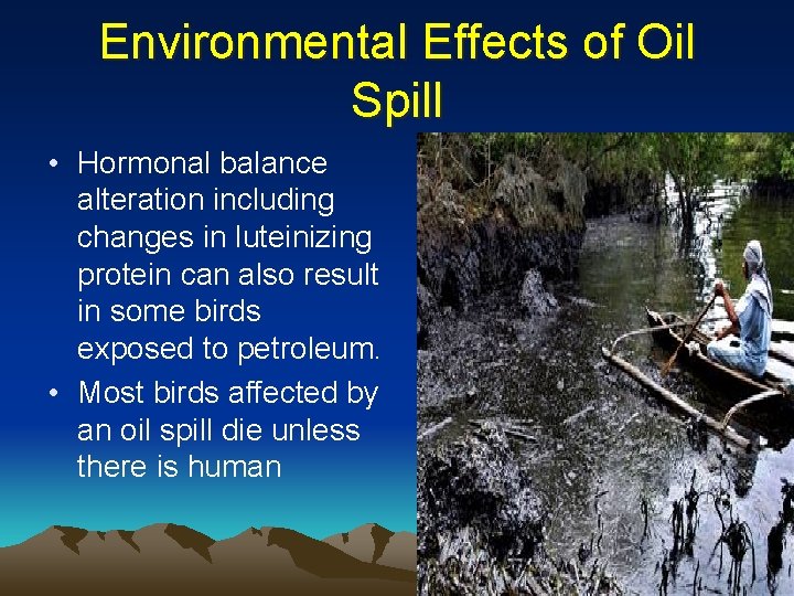 Environmental Effects of Oil Spill • Hormonal balance alteration including changes in luteinizing protein