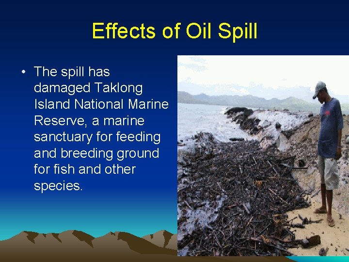 Effects of Oil Spill • The spill has damaged Taklong Island National Marine Reserve,