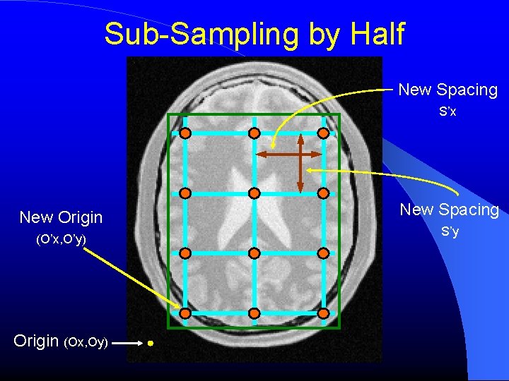 Sub-Sampling by Half New Spacing S’x New Origin (O’x, O’y) Origin (Ox, Oy) New