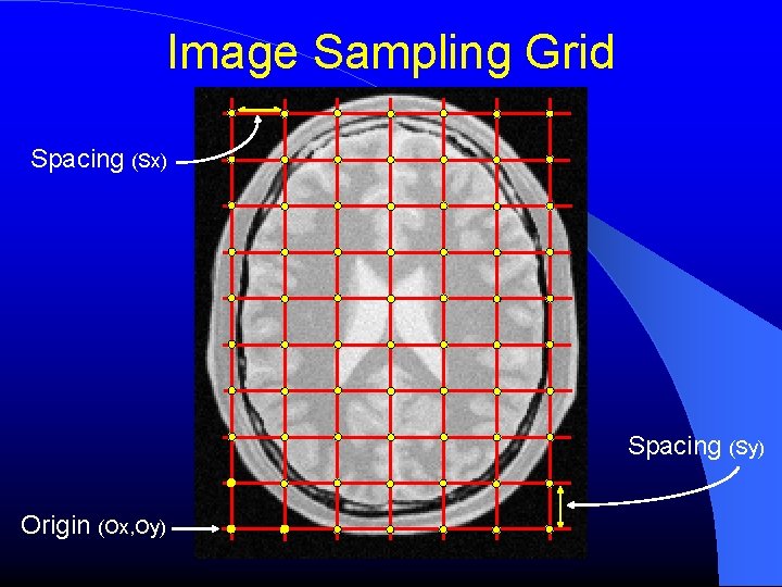 Image Sampling Grid Spacing (Sx) Spacing (Sy) Origin (Ox, Oy) 