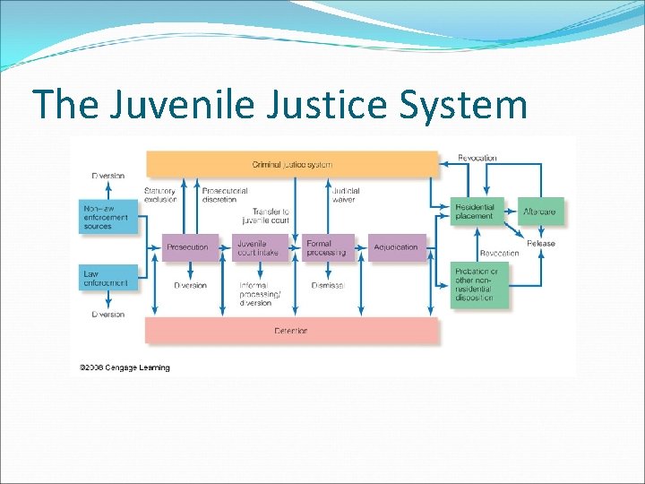 The Juvenile Justice System 