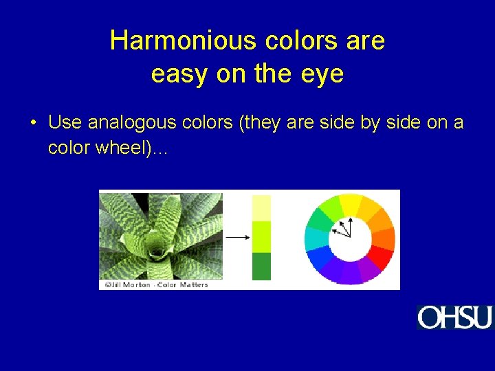 Harmonious colors are easy on the eye • Use analogous colors (they are side