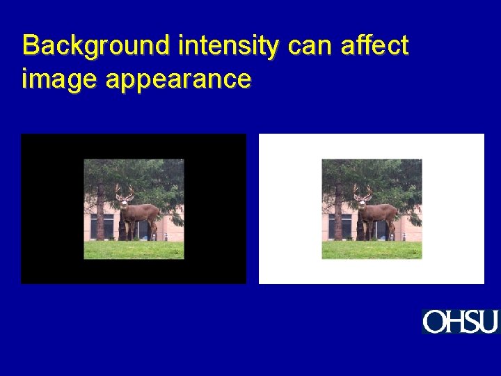 Background intensity can affect image appearance 