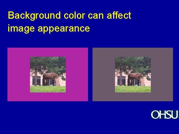 Background color can affect image appearance 