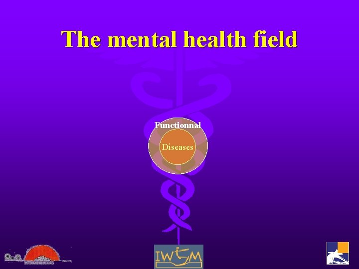 The mental health field Functionnal Diseases 