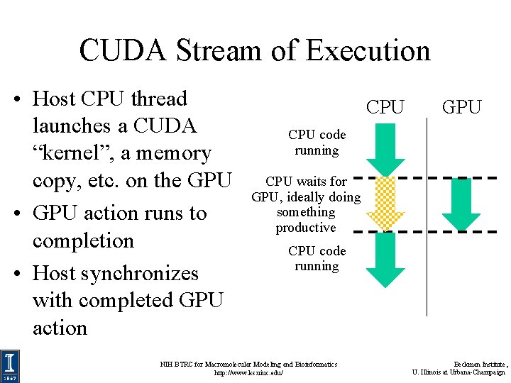 CUDA Stream of Execution • Host CPU thread launches a CUDA “kernel”, a memory