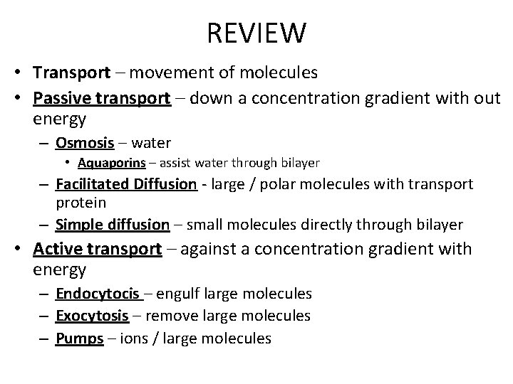 REVIEW • Transport – movement of molecules • Passive transport – down a concentration