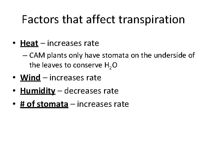 Factors that affect transpiration • Heat – increases rate – CAM plants only have
