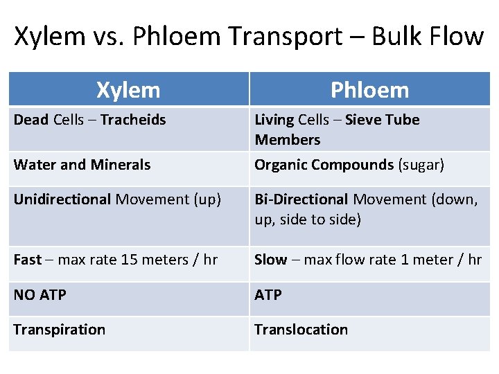 Xylem vs. Phloem Transport – Bulk Flow Xylem Phloem Dead Cells – Tracheids Living