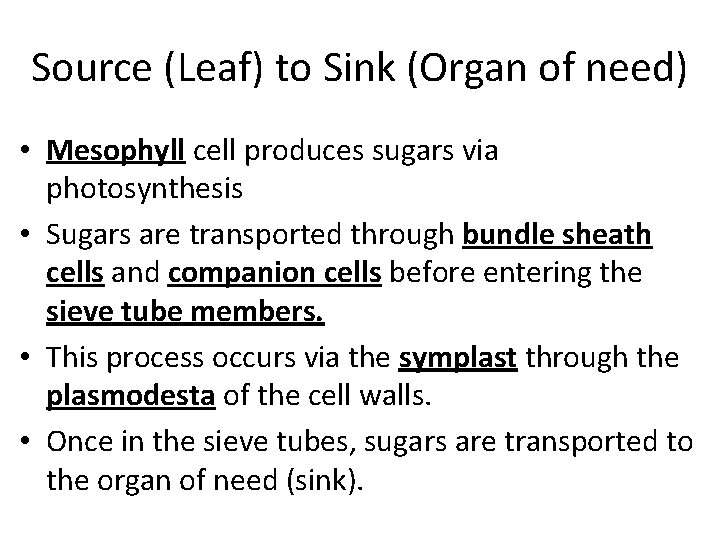 Source (Leaf) to Sink (Organ of need) • Mesophyll cell produces sugars via photosynthesis