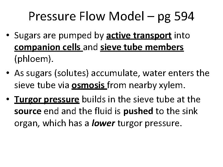 Pressure Flow Model – pg 594 • Sugars are pumped by active transport into