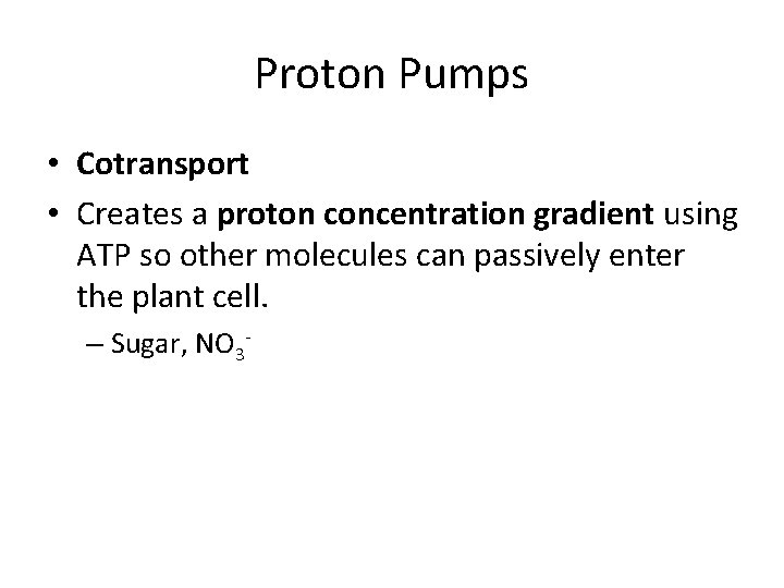 Proton Pumps • Cotransport • Creates a proton concentration gradient using ATP so other