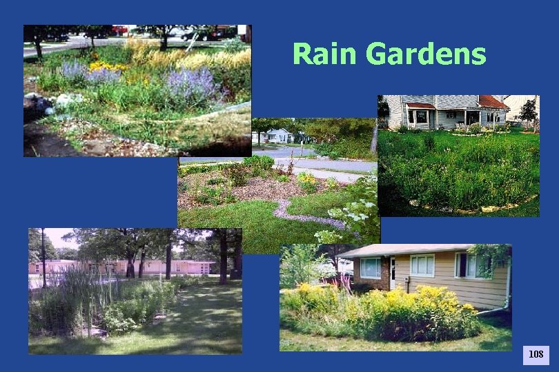 Rain Gardens 108 