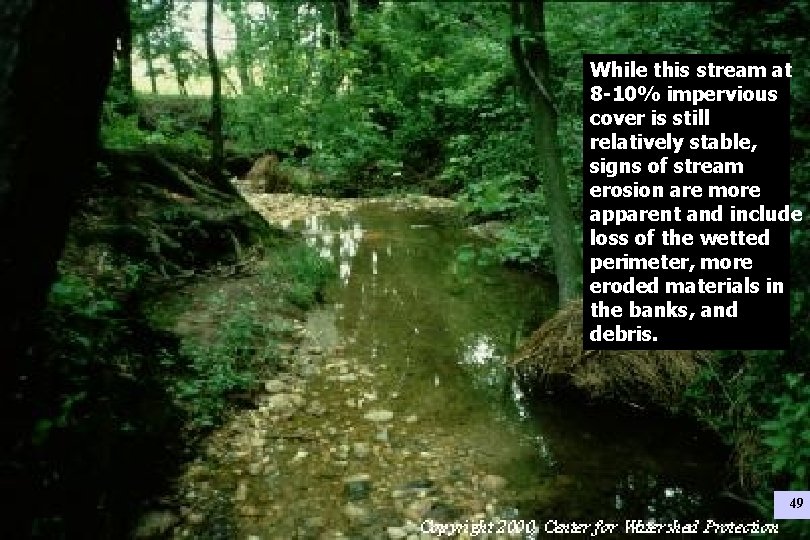 While this stream at 8 -10% impervious cover is still relatively stable, signs of