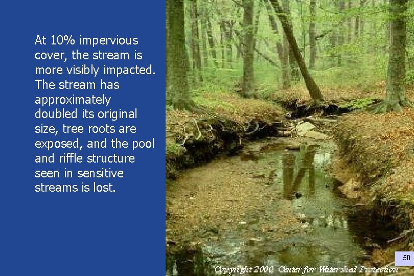 At 10% impervious cover, the stream is more visibly impacted. The stream has approximately