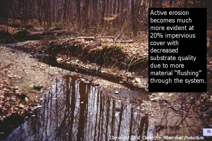 Active erosion becomes much more evident at 20% impervious cover with decreased substrate quality