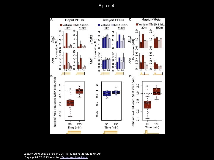 Figure 4 Neuron 2018 98530 -546. e 11 DOI: (10. 1016/j. neuron. 2018. 04.