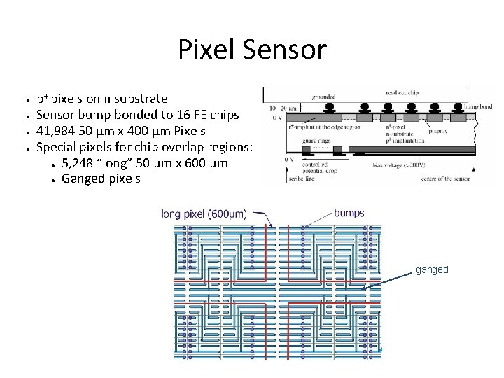 Pixel Sensor ● ● p+ pixels on n substrate Sensor bump bonded to 16