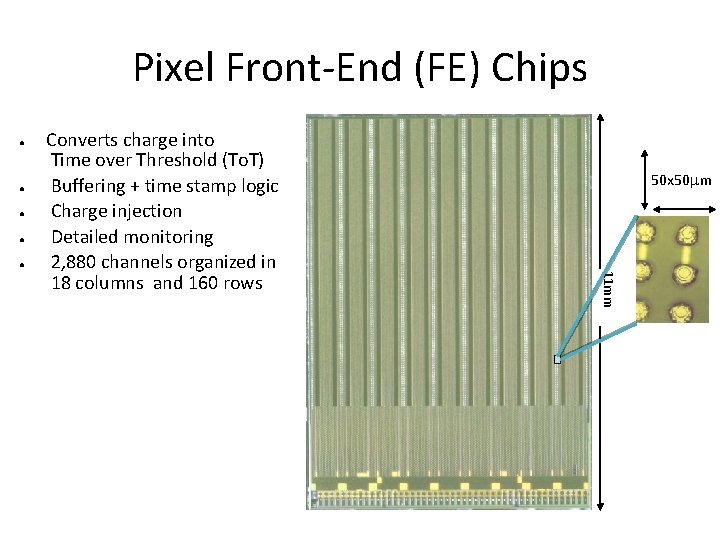 Pixel Front-End (FE) Chips ● ● ● 50 x 50 m 11 mm Converts