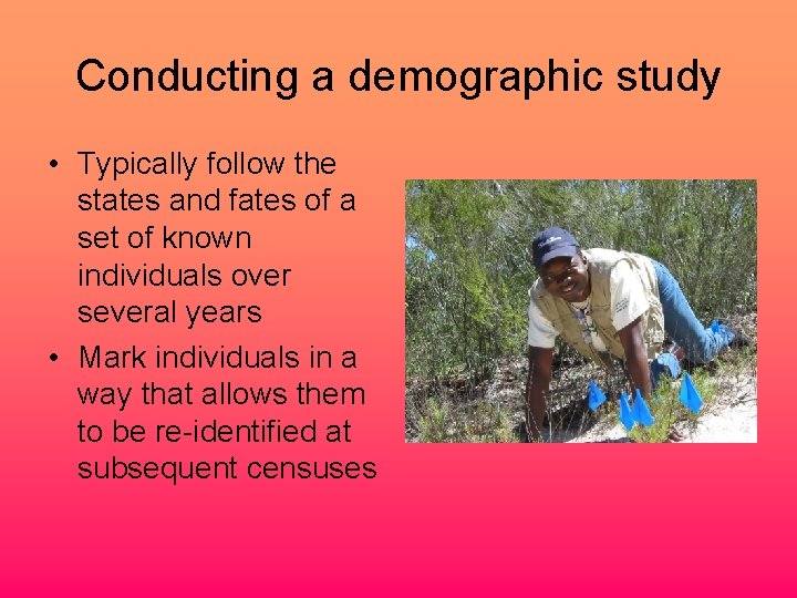 Conducting a demographic study • Typically follow the states and fates of a set