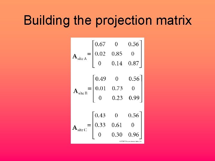 Building the projection matrix 