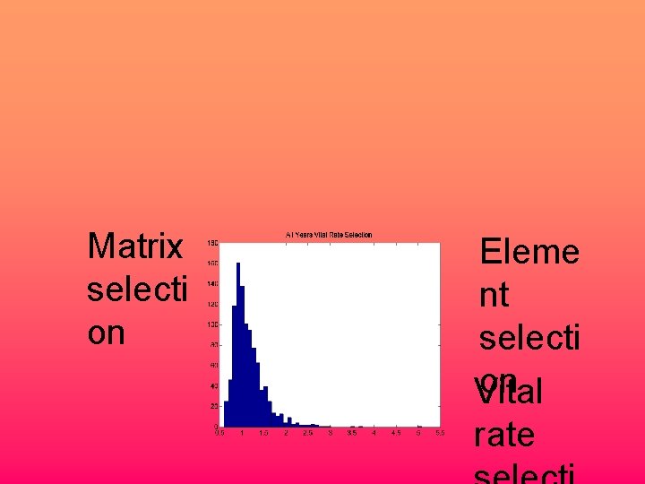 Matrix selecti on Eleme nt selecti on Vital rate 