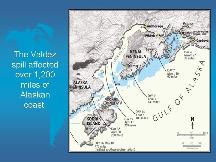 The Valdez spill affected over 1, 200 miles of Alaskan coast. 