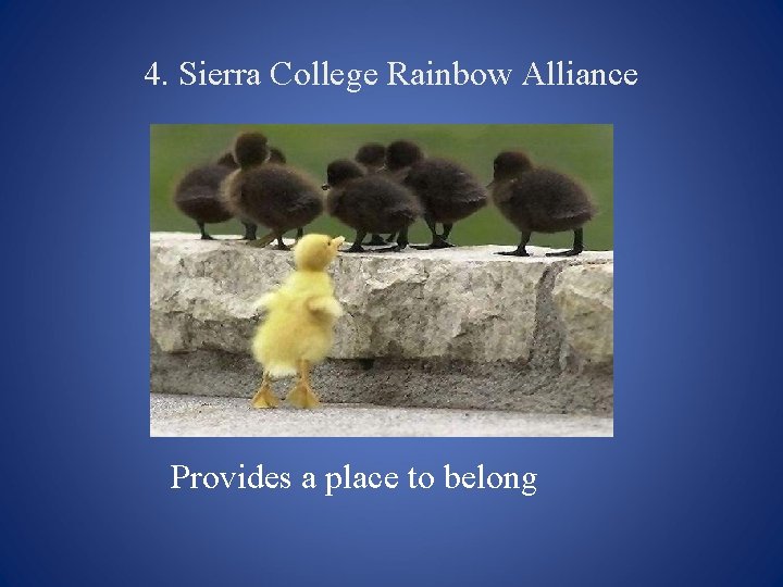 4. Sierra College Rainbow Alliance Provides a place to belong 