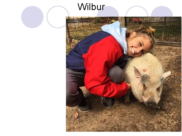 Wilbur 