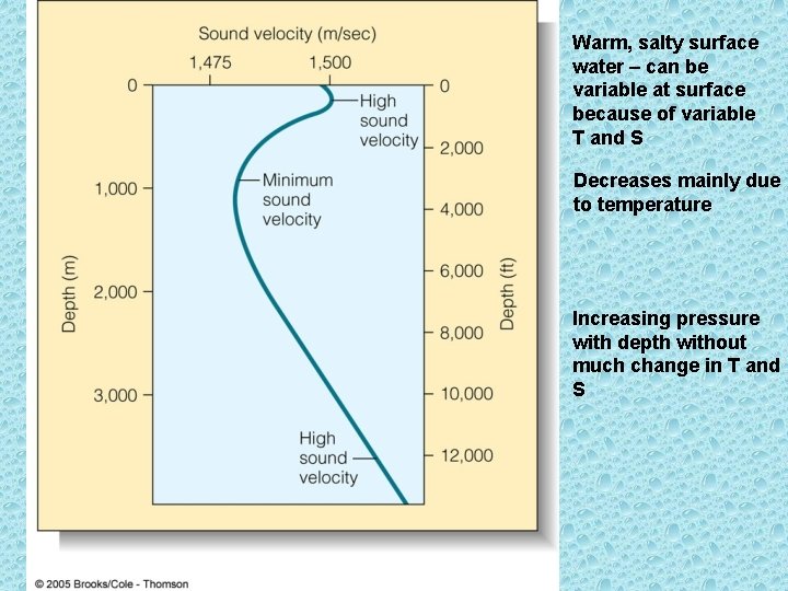 Warm, salty surface water – can be variable at surface because of variable T