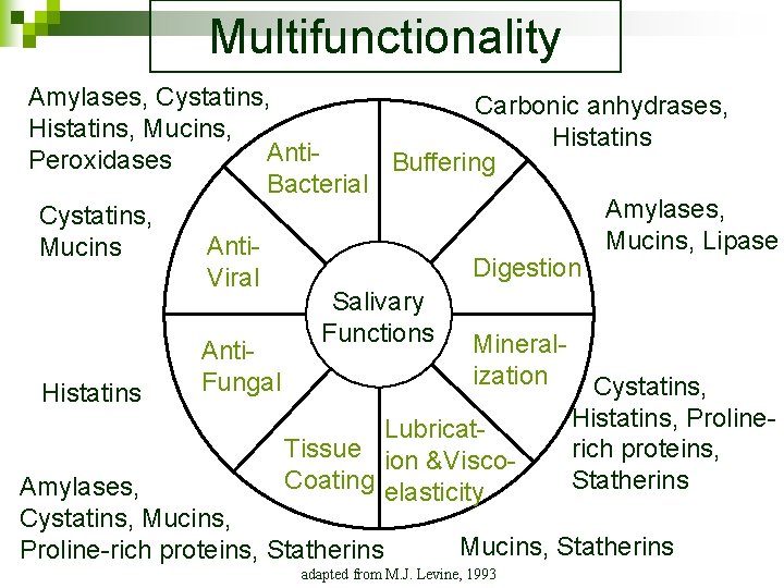 Multifunctionality Amylases, Cystatins, Carbonic anhydrases, Histatins, Mucins, Histatins Anti. Peroxidases Buffering Bacterial Amylases, Cystatins,